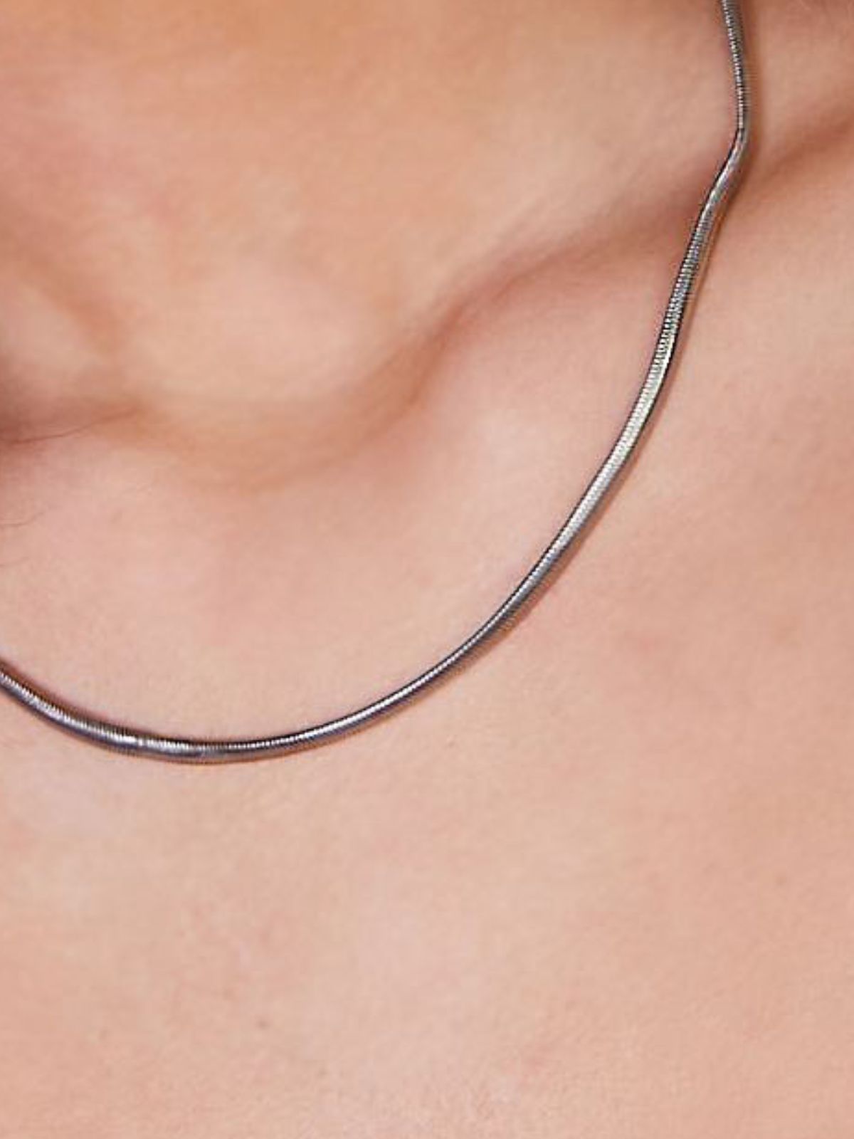 Snake Chain / Silver