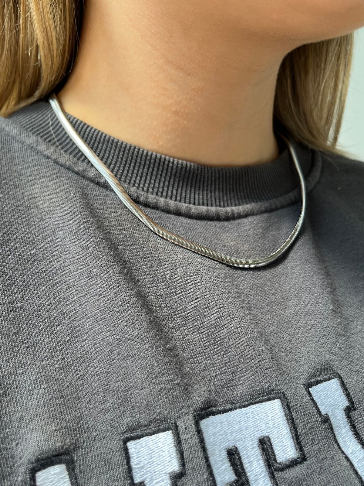 Snake Chain / Silver