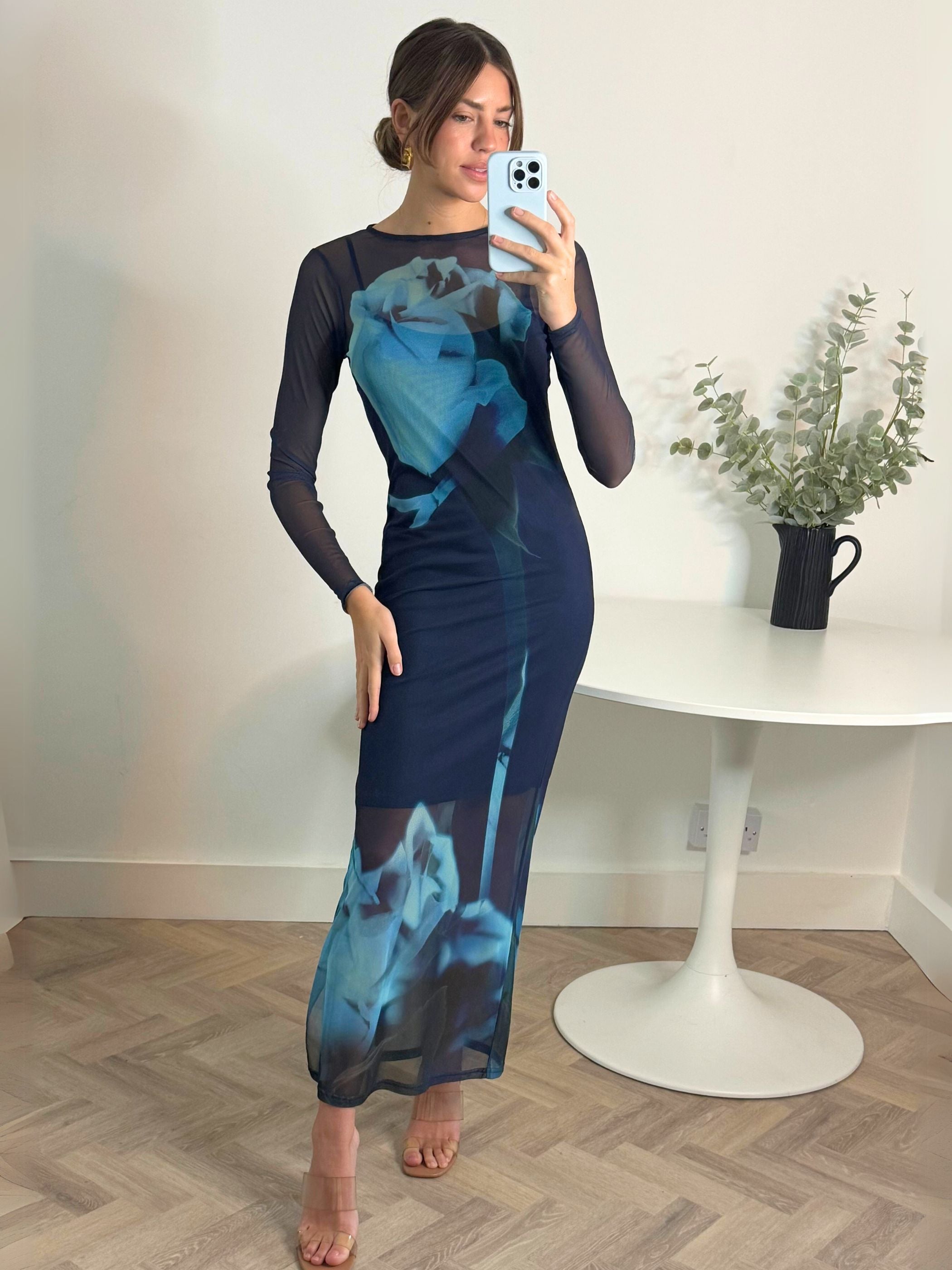 Elma Long Sleeve Mesh Maxi Dress in Blue Floral