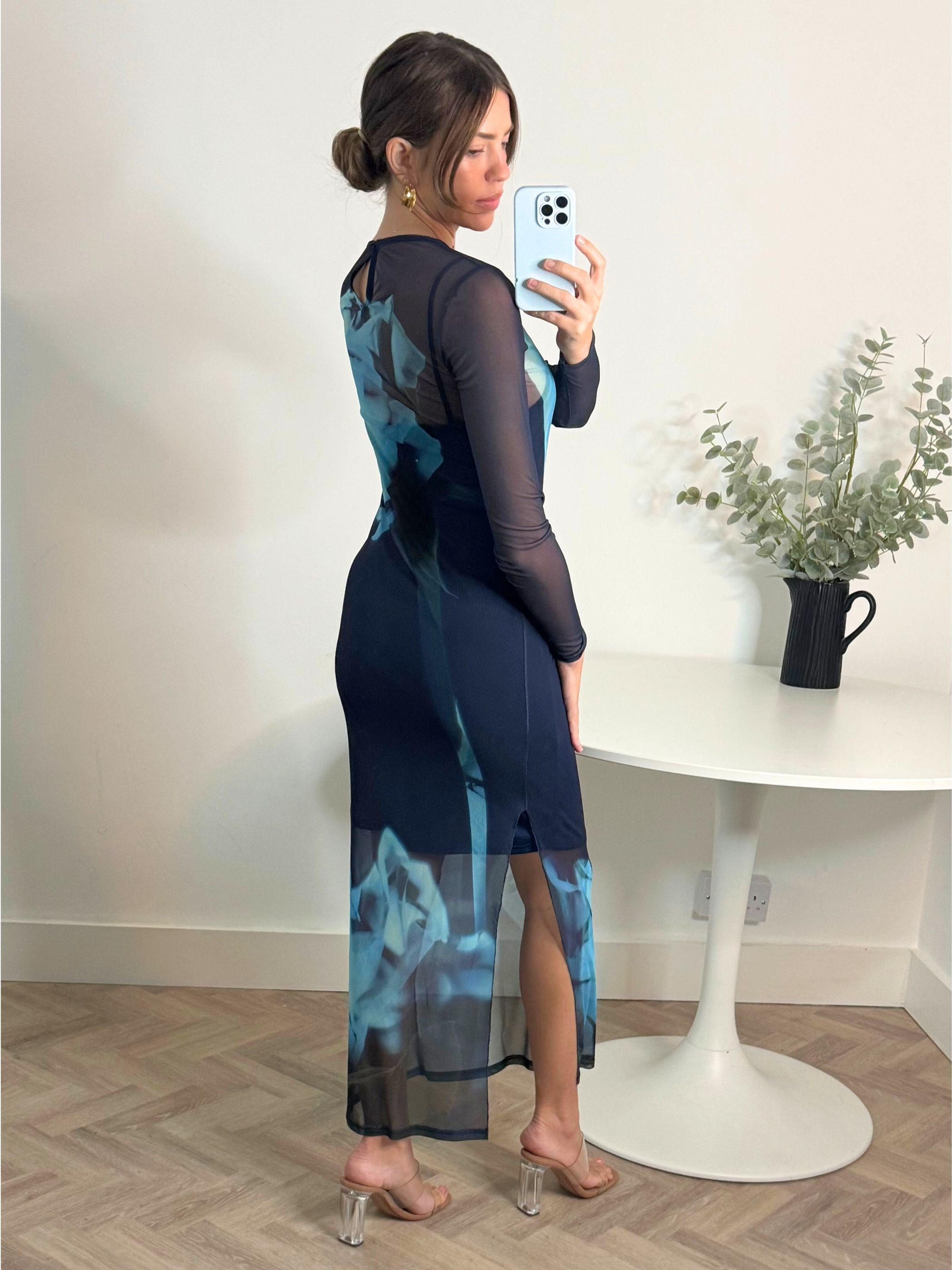 Elma Long Sleeve Mesh Maxi Dress in Blue Floral