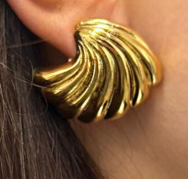 Sea Shell Earrings in Gold