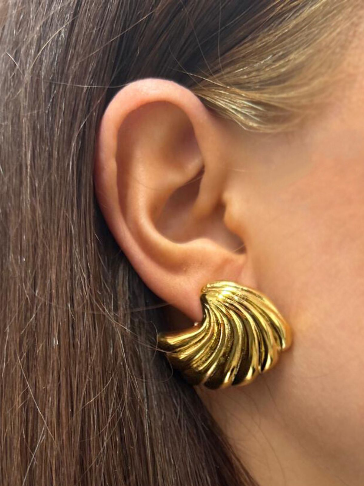 Sea Shell Earrings in Gold